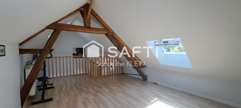 photo no. 12
