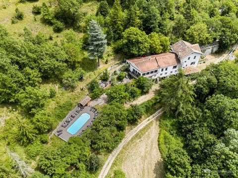 Located just before the charming village of Greolieres, this estate spans over 6 hectares and offers a wild, preserved setting where nature reigns supreme. The property is crossed by the Le Loup river and another stream flowing into it, creating an e...