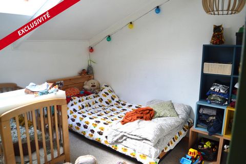 photo no. 8