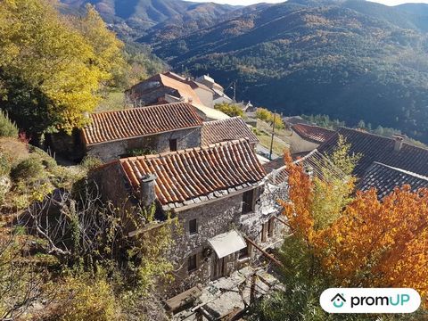 Saint-André-de-Majencoules is a charming village in the Gard department in the Occitanie region of southern France. We invite you to come and discover this terraced house on 1 side, offering 104m² of living space. This stone house has been tastefully...