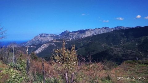 Municipality of Dirfion, Evia. For sale a plot of 7.000 sq.m., buildable, with chestnut trees, out of city plan,  400 m from the sea with unrestricted mountain – forest – sea view, 500 meters from Lamari village and 5 km from Chiliadou beach. Price 6...