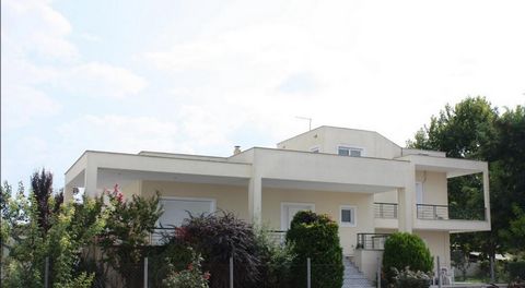 Villa for sale in Thessaly, Palamas. The villa is 377 sq.m More specifically: Ground floor: 77 sq. meters 1st floor: 80 sq. meters 2nd floor: 73 sq. meters Basement: 147 sq. meters The villa was built in 1998 and is comprised of the following rooms: ...