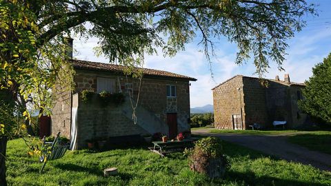 ONANO (VT), vicinity: 42 hectares farm with two stone and tuff farmhouses, consisting of: * about 1.5 hectares of pasture land; * 27.5 hectares of slightly hilly irrigated arable land suitable for all crops including vegetables; * approximately 13 he...
