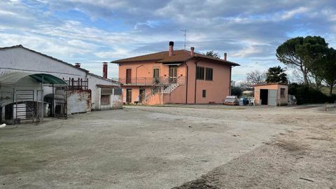Cortona surroundings (AR): pig farm of about 20 ha composed of : 13 hectares of land, part flat irrigated and part medium-textured hillside suitable for all crops about one hectare of olive grove in production ; two hectares of woodland four hectares...