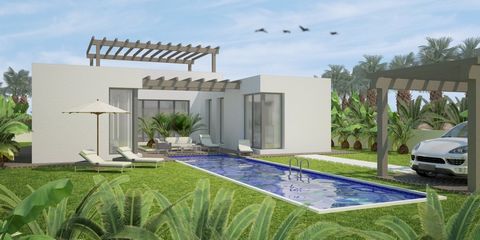 Modern-style 3 beds detached villas in Benijófar. Modern style villas with 3 bedrooms in Benijófar. These villas under construction have a spacious living-dining room with kitchenette, 3 bedrooms (one of them en suite) and 2 bathrooms, private plot w...
