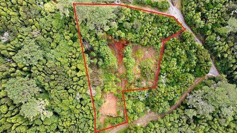 Land for construction with the possibility of putting electricity, water and fiber with two articles, one with 2254 square meters, the other with 242. Features: - Garden