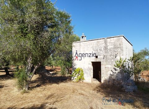 For sale lamia for renovation in the countryside of Ostuni, located a short distance from the town centre. The property consists of a single room with a fireplace and has a wonderful pavilion vault as a characteristic feature. It is possible to build...