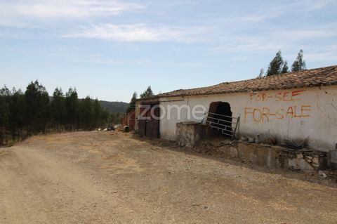 Identificação do imóvel: ZMPT555560 Fantastischer Bauernhof mit Haus in einem ruinösen Zustand, um sich zu erholen, mit 4.840 m2 umliegendem Land und einem Damm. Diese Immobilie befindet sich in Gavião de Cima, 5 Minuten von São Bartolomeu de Messine...