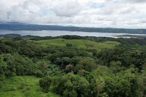 Boerderij te koop in Tilaran, Guanacaste - Uw droominvesteringsmogelijkheid!   ·      Oppervlakte terrein: 200,000 m² ·      Type woning: Boerderij ·      Conditie: Tweedehands   Faciliteiten: - Water- en elektriciteitsvoorzieningen: Deze prachtige b...