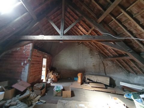 photo no. 15