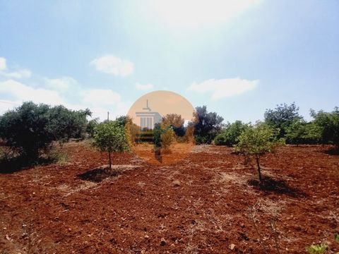 We present an excellent rustic plot with an area of 4,480m², located in Alecrineira, Quelfes. Access is via a dirt road. This plot of land, with several fruit areas, is perfect for those wishing to invest in an agricultural project. With magnificent ...