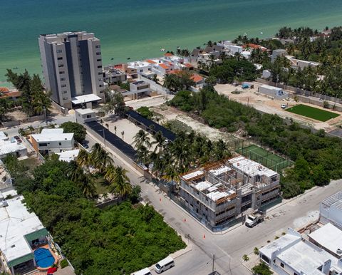 Mayan World Real Estate présente « SALINA CONDOS » Segunda Fila, à Progreso, Yucatan. Puerto Progreso est l’un des ports les plus importants du Mexique, le développement touristique, la croissance de l’économie et l’infrastructure font de cette zone ...