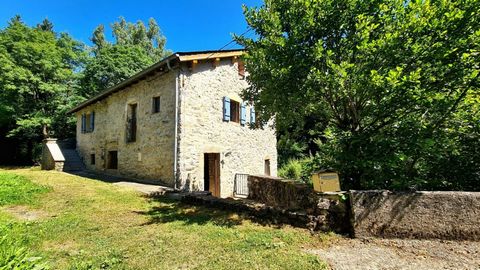 Charming village with bar/restaurant, located at 20 minutes from Lacaune (with all the shops), 40 minutes from La Salvetat sur Agout and 30 minutes from lakes ! Old stone mill dating from the 18th century, fully renovated, offering charm of yesteryea...