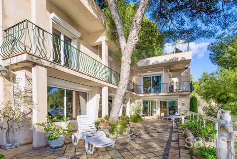 SOLE AGENCY - Privileged location in absolute peace and quiet just a few minutes from Monaco. Modern villa surrounded by umbrella pines with 3 bedrooms, an office and a studio to renovate. Other rooms can be converted to suit your needs and the terra...