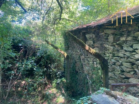 Old house and land in a simple and pure place. If you are looking for a refuge, a life in the countryside, the simplicity and naivety of customs, the tranquility and richness of contact with nature, and the peculiar habits of central Portugal, in the...