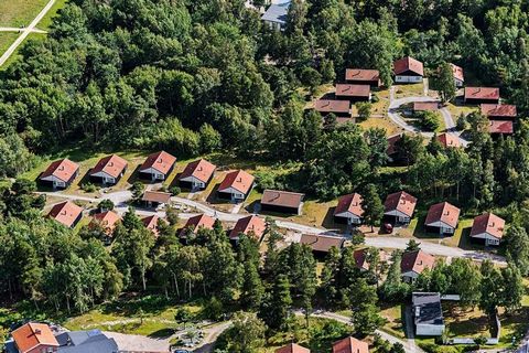 Direkt am 20 km langen Ostsee-Sandstrand - so weit das Auge reicht. Hier gibt es Natur, Strand, Wasser und ein reiches Tierleben. Danland Marielyst Im Ferienpark Marielyst liegen Ihnen 20 km Sandstrand zu Füßen. Vom Strandufer erstreckt sich die Osts...