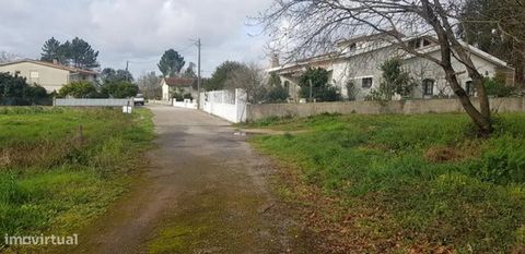 Grond te koop in Avelãs de Caminho Stedelijk vlak land met een goede blootstelling aan de zon, met een totale oppervlakte van 1254m2 en 18 meter voorgevel, maakt de bouw van een eengezinswoning mogelijk. Gelegen in een rustige woonwijk met gemakkelij...