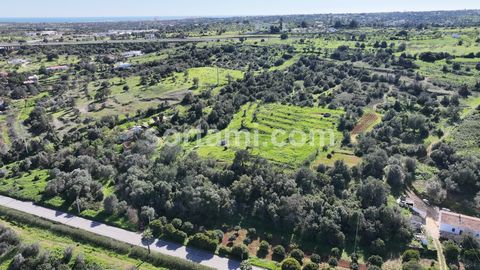 Descubra una oportunidad única con este terreno excepcionalmente bien ubicado en Alcantarilha. Con una superficie total de 16.560 metros cuadrados, este terreno ofrece 320 metros cuadrados de superficie urbana para construcción. Lo que realmente dest...