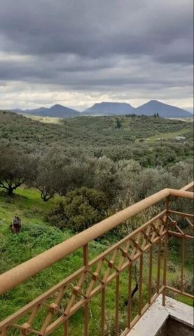 Das dreistöckige Haus steht in der Siedlung Manesi, Messinia, zum Verkauf. Das Haus ist 245 qm groß. wurde 2001 auf einem Grundstück von ca. 495 qm gebaut. Es besteht aus einem komplett fertiggestellten ersten Stock von 98 qm. mit einem einzigen Wohn...