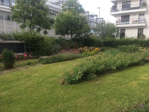 photo no. 10