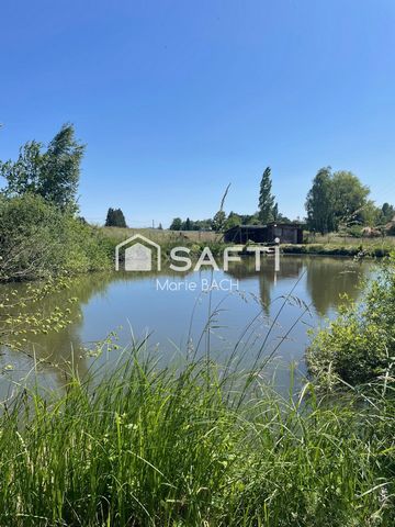 Etang de loisir