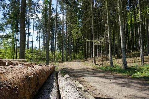 In einem ruhigen Tal zwischen Knüllwald und Fuldatal gelegen, ist dieses Ferienhaus mit 2 Schlafzimmern ideal für bis zu 4 Gäste, die Natur, Komfort und Abenteuer suchen. Eingebettet in die waldreiche nordhessische Hügellandschaft ist es ein idealer ...