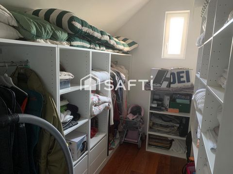 photo no. 11