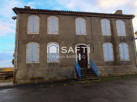 photo no. 12