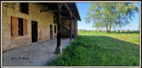 photo no. 2