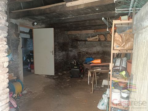 photo no. 14