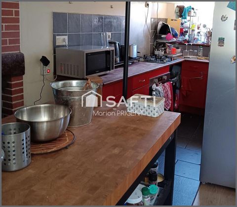 photo no. 11