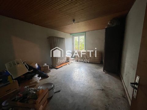 photo no. 12