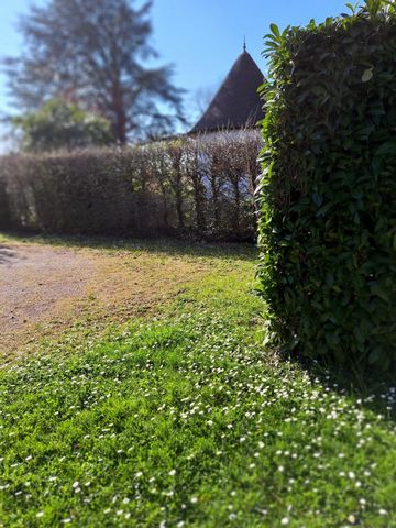 photo no. 12