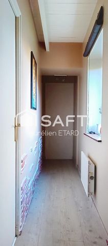 photo no. 6