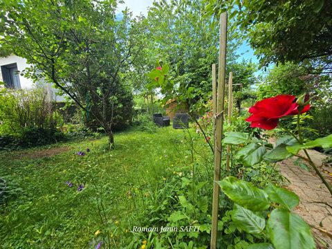 photo no. 11
