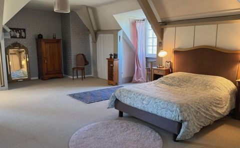 photo no. 12