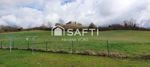 photo no. 13