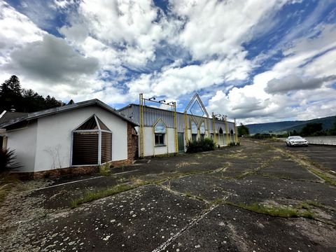 photo no. 10
