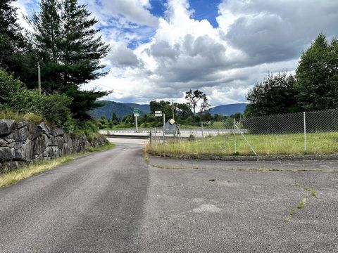 photo no. 12