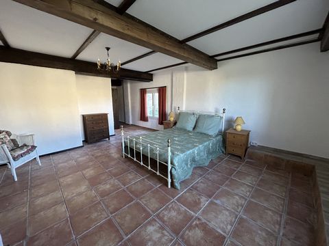 photo no. 13