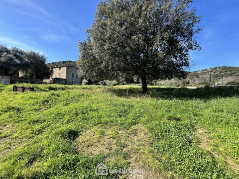 Terrain à bâtir - 2218m² - Santa-Reparata-di-Balagna