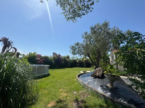 photo no. 13
