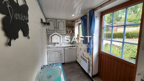 photo no. 5