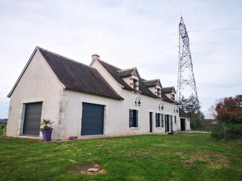 photo no. 11