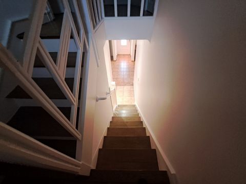 photo no. 11