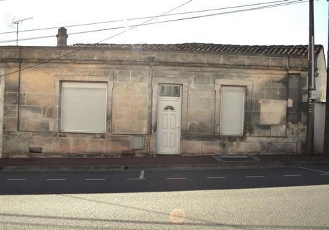 photo no. 9