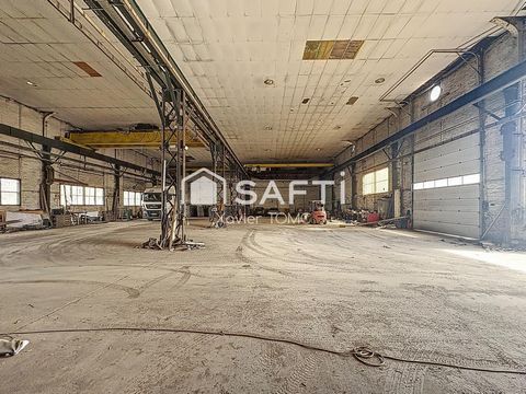 photo no. 3