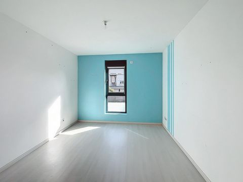 photo no. 6