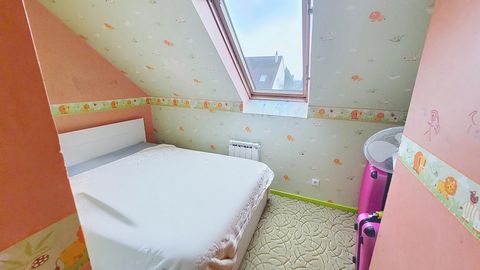 photo no. 13