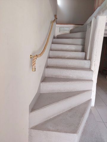 photo no. 12